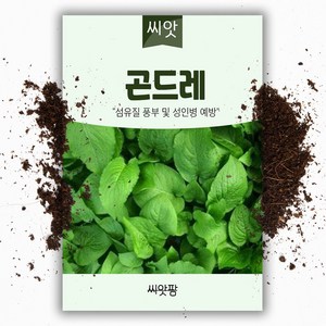 곤드레씨앗 (100립) 곤드레나물, 100립, 1개