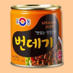 유동 번데기, 280g, 24개