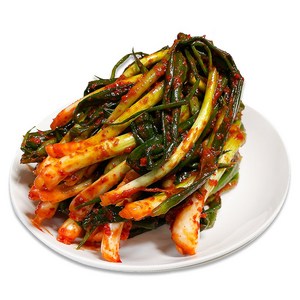 뜰아래김치 국산 파김치, 1kg, 1개