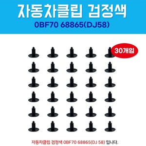 0BF7068865 자동차클립 헤드라이닝 고정화스너 파스터 1봉 30개 드렁크 후드, 1봉지 30개