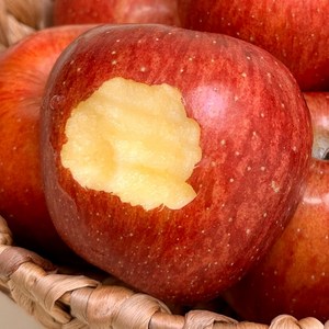 [엠블사과] 고당도 산지직송 꿀사과, 1박스, 1kg 4-8과 많이작은 한입크기