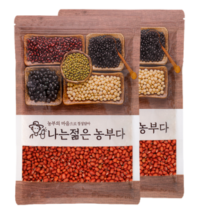 엘림농산 햇 대 팥 적두, 1kg, 2개