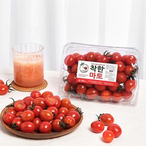 달콤한 스테비아 토마토 (당일배송), 500g, 2개