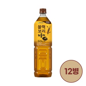 하이트진로음료 블랙보리 누룽지 1.5L 12병, 12개