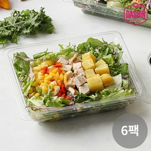 [다신샵] 당일제조 한스푼샐러드 콥 225g, 6개