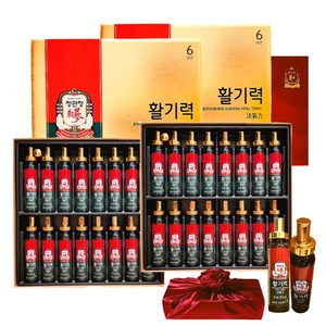 정관장 6년근 홍삼정 활기력 32세트(홍삼농축액 비타민 함량) 640ml+쇼핑백 골프 여행 추석 설 명절 선물세트(보자기포함), 640ml, 1세트