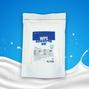 WPI 분리유청단백질 분말 500g HACCP 인증제품, 1개