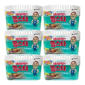 냄새먹는 홈스타 냉장고용 탈취제 유칼립투스, 420g, 6개