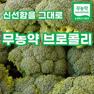 [최상품] 하프팜 친환경 무농약 브로콜리 브로컬리, 2개, 320g
