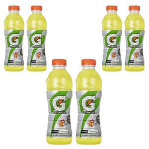 롯데 게토레이 600ml 6개 pet 이온음료 스포츠음료