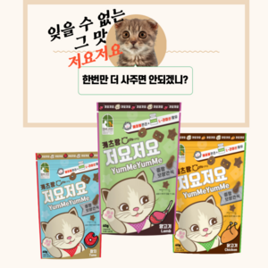 캐츠랑 저요저요 고양이 보양간식, 닭고기, 60g, 12개