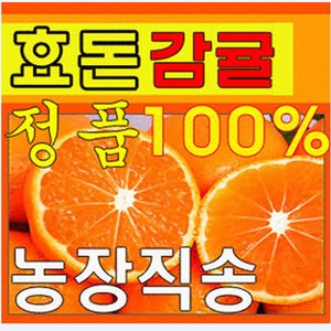 제주효돈감귤(농협납품)(타이벡) 5 10kg-당일선별배송, 5kg(중간귤)(S,M,L), 1개