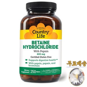 미국산 컨트리라이프 베타인 하이드로클로라이드 600mg 250정 County Life Betaine Hydochloide 선물증정, 1개