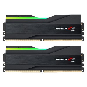 G.SKILL DDR5-6000 CL30 TRIDENT Z5 RGB J 패키지 (32GB(16Gx2)), 2개