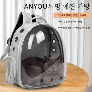 ANYOU 반려동물 투명 백팩 통기 애완 동물 고양이 강아지 외출 이동 가방, 1개, 그레이