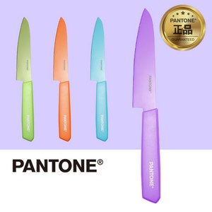 팬톤 PANTONE 올컬러 칼라 과도 (두께 1.5T), 퍼플, 1개