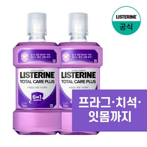 리스테린 토탈케어 플러스 구강청결제, 750ml, 2개