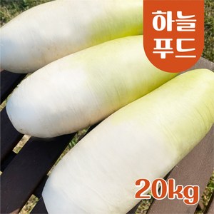 (20kg/Box) 수입산 세척무 식자재 [원산지:중국], 1개