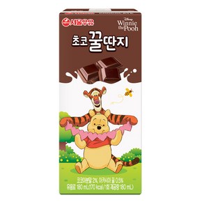 서울우유 초코꿀딴지, 180ml, 48개