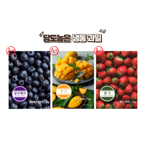냉동 과일 블루베리 망고 딸기 2kg (1kg+1kg), 블루베리 (1kg+1kg), 1개