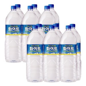 지리산 산청 샘물 화이트 생수 2L 12개입, 12개