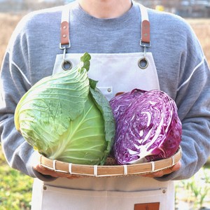 국내산 깐 양배추 적채 적양배추 겉잎손질 산지직송, 적양배추(적채), 1개, 1kg