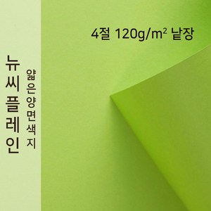 뉴씨플레인 종이문화 얇은 양면색지 120g 4절 낱장 1매 No.20 풀색, 1장