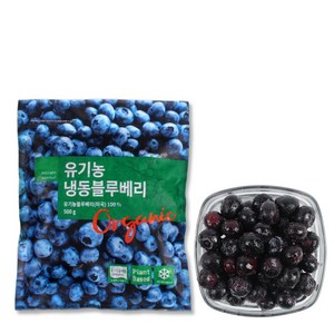 [딜라잇가든]냉동유기농블루베리_미국_500g x 3팩, 500g, 3개