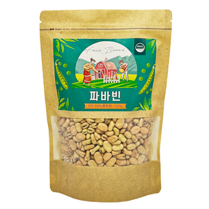 웰리즈 파바빈콩 자이언트 잠두 식물성 단백질 콩 원물, 500g, 1개