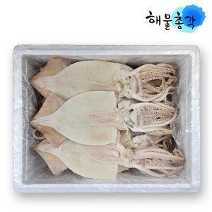 해물총각 통 손질오징어 약 21~23마리, 4kg, 1개