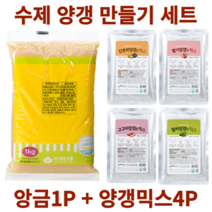 수제 양갱 만들기 재료 세트 영양갱 DIY 앙금1P+믹스4P, D. 백앙금1P+단호박1P+딸기1P+말차1P+고구마1P, 1세트