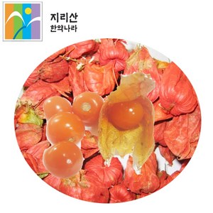 햇 야생 생 꽈리열매 상세설명 보관 주의사항 필수, 1개, 150g