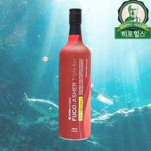 해림후코이단 후코아셀 트레플에이스 690ml, 1개