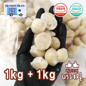 (당일출돼지) 특대사이즈 이빨제거 오징어입 오징어 (1+1), 2개, 1kg