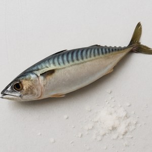 국내산 부산 다대포 손질 자반 고등어 가정용 12마리, 1개, 2~2.5kg[12마리]