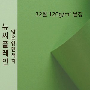 뉴씨플레인 종이문화 얇은 양면색지 120g 32절 낱장 1매 No.35 연두색, 1장