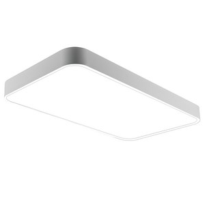 원하 삼성 칩 미러 거실등 플리커프리 LED 천장등 60W, 화이트