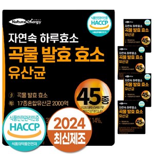 자연속 하루 효소 곡물 발효 효소 유산균 45종, 90g, 5개