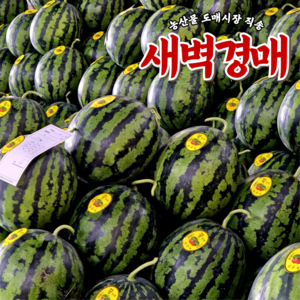 [당일출고] 새벽경매 12브릭스 고당도 수박, 1박스, 5~6KG