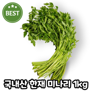 당일수확 국내산 청도 한재 미나리, 1박스, 1kg