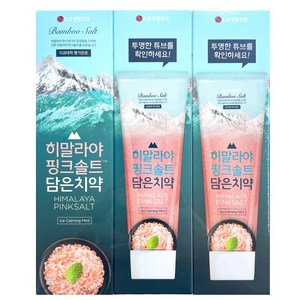 히말라야핑크솔트 담은 치약 아이스 카밍 민트, 100g, 3개