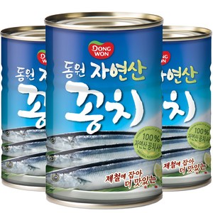 동원 자연산 꽁치 통조림, 300g, 3개