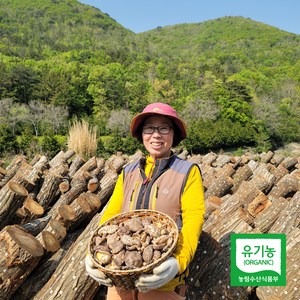 태평가 유기농 건조 표고버섯 건 표고, 500g, 1개