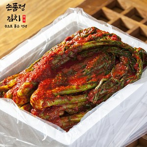 손품정 진짜 전라도 돌산 갓김치 국내산, 1개, 2kg