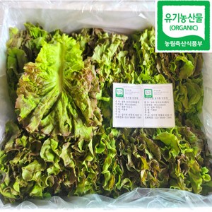 100% 유기농 친환경 꽃상추 1kg, 1개