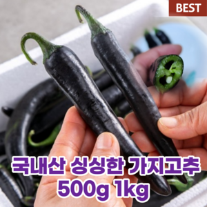 국내산 국산 가지 고추 500g 1kg 보라 색 자색 미인 고추 컬러 푸드 제철 영양 특색 이색 당뇨 혈당 좋은 음식 햇 고추 가지 특품, 1개