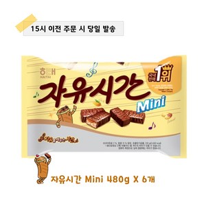 해태제과 자유시간, 480g, 6개