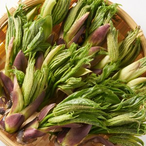 [최상급선별] 고랭지재배 국산 엄나무순 개두릅, 1박스, 500g