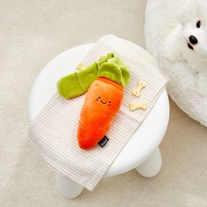 펫본 모던하우스 강아지 야채가게 장난감