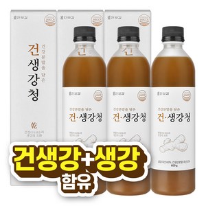 한보감 건생강청 생강청 생강차, 600g, 3개, 1개입